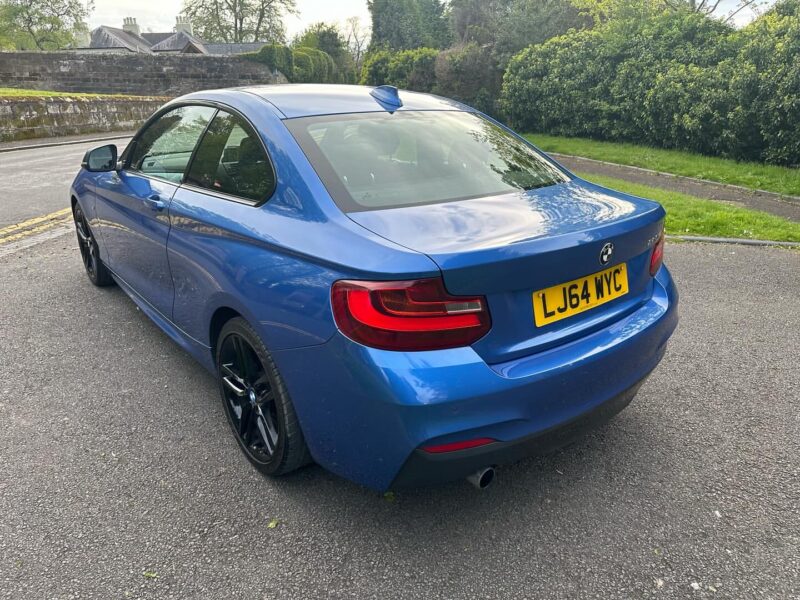 2014 BMW 220